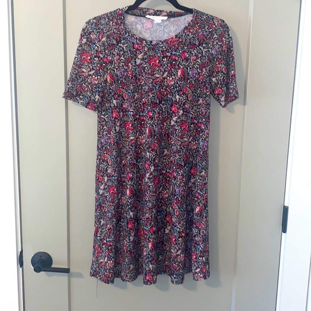 BCBG swing dress